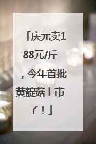 庆元卖188元/斤，今年首批黄靛菇上市了！