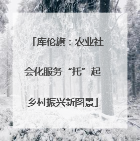 库伦旗：农业社会化服务“托”起乡村振兴新图景