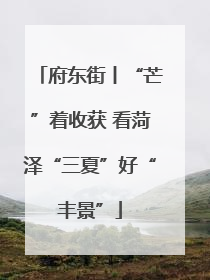 府东街丨“芒”着收获 看菏泽“三夏”好“丰景”