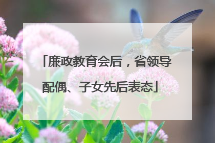 廉政教育会后，省领导配偶、子女先后表态