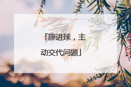 廖进球，主动交代问题