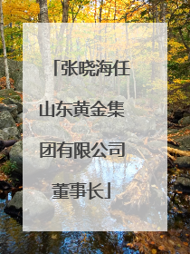 张晓海任山东黄金集团有限公司董事长