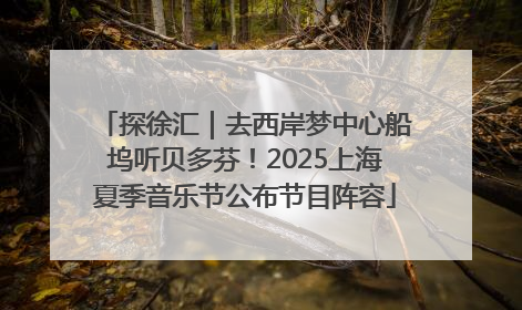 探徐汇｜去西岸梦中心船坞听贝多芬！2025上海夏季音乐节公布节目阵容