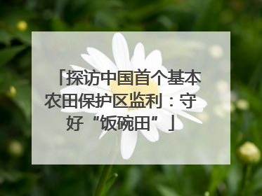 探访中国首个基本农田保护区监利：守好“饭碗田”