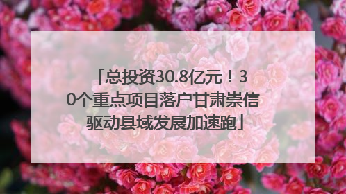 总投资30.8亿元！30个重点项目落户甘肃崇信 驱动县域发展加速跑