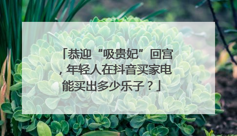 恭迎“吸贵妃”回宫，年轻人在抖音买家电能买出多少乐子？