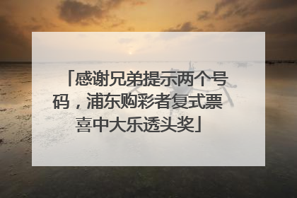 感谢兄弟提示两个号码，浦东购彩者复式票喜中大乐透头奖