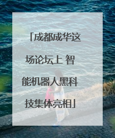 成都成华这场论坛上 智能机器人黑科技集体亮相