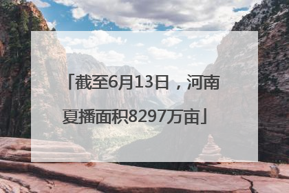 截至6月13日，河南夏播面积8297万亩