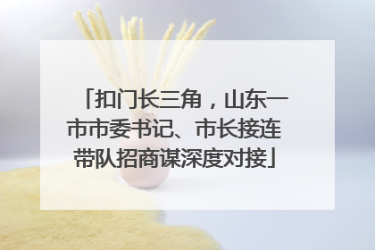 扣门长三角，山东一市市委书记、市长接连带队招商谋深度对接