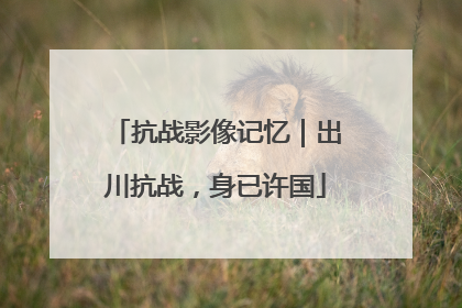 抗战影像记忆｜出川抗战，身已许国