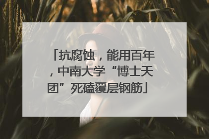 抗腐蚀，能用百年，中南大学“博士天团”死磕覆层钢筋