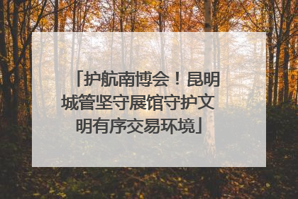 护航南博会！昆明城管坚守展馆守护文明有序交易环境