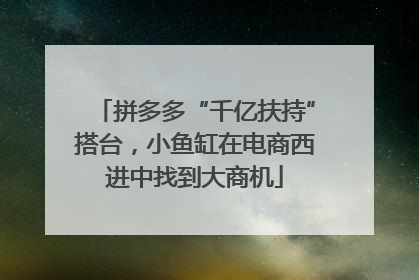 拼多多“千亿扶持”搭台，小鱼缸在电商西进中找到大商机