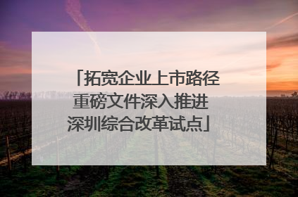 拓宽企业上市路径 重磅文件深入推进深圳综合改革试点