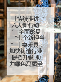 持续推进“六大新行动 ” 全面彰显“七个新担当”｜嘉禾县：加快铸造行业提档升级 助力绿色高质量发展