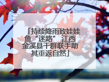 持续降雨致娃娃鱼“迷路” 江西金溪县干群联手助其重返自然