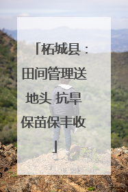 柘城县：田间管理送地头 抗旱保苗保丰收