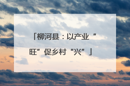 柳河县：以产业“旺”促乡村“兴”