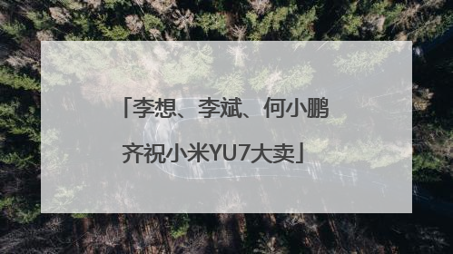 李想、李斌、何小鹏齐祝小米YU7大卖