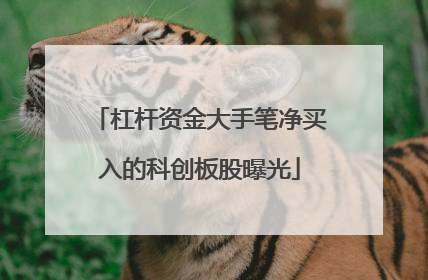 杠杆资金大手笔净买入的科创板股曝光