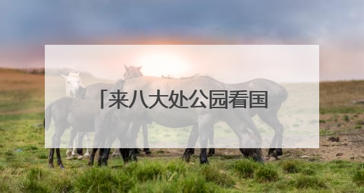 来八大处公园看国家级非遗项目展演