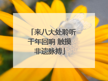来八大处聆听千年回响 触摸非遗脉搏