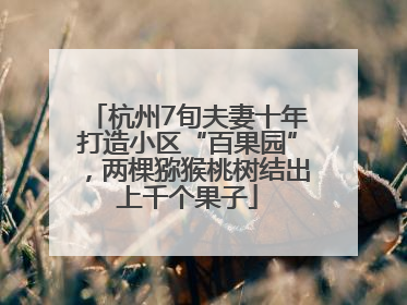 杭州7旬夫妻十年打造小区“百果园”，两棵猕猴桃树结出上千个果子