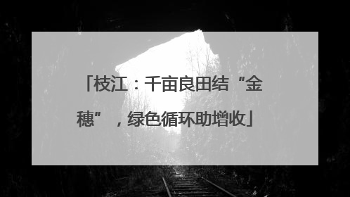 枝江：千亩良田结“金穗”，绿色循环助增收