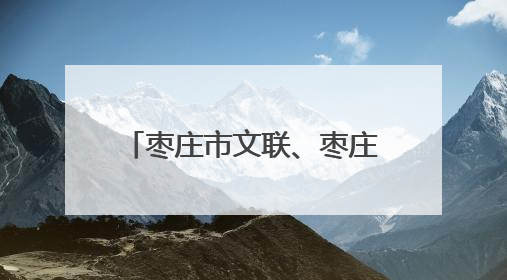 枣庄市文联、枣庄市档案馆举办“文润枣庄·艺联万家”文艺志愿者走进档案馆主题活动