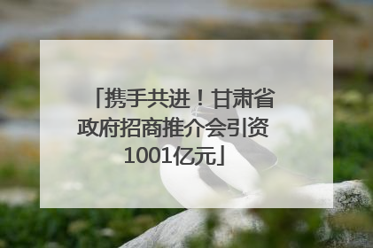 携手共进！甘肃省政府招商推介会引资1001亿元