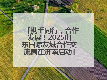 携手同行，合作发展！2025山东国际友城合作交流周在济南启动