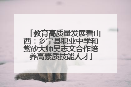 教育高质量发展看山西：乡宁县职业中学和紫砂大师吴志文合作培养高素质技能人才