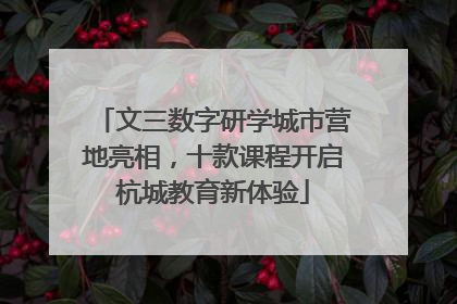文三数字研学城市营地亮相，十款课程开启杭城教育新体验