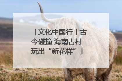 文化中国行丨古今碰撞 海南古村玩出“新花样”