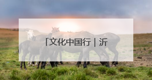 文化中国行｜沂蒙老区“守艺人”的文化匠心