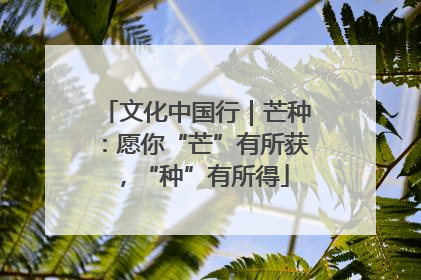 文化中国行｜芒种：愿你“芒”有所获，“种”有所得