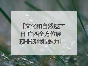 文化和自然遗产日 广西全方位展现非遗独特魅力