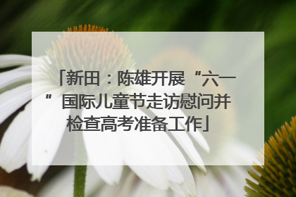 新田：陈雄开展“六一”国际儿童节走访慰问并检查高考准备工作