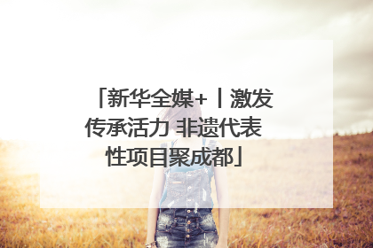 新华全媒+丨激发传承活力 非遗代表性项目聚成都