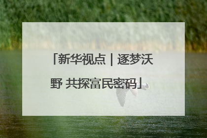 新华视点｜逐梦沃野 共探富民密码