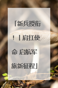 新兵授衔！丨肩扛使命 启航军旅新征程