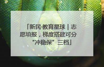 新民·教育星球｜志愿填报，梯度搭建可分“冲稳保”三档
