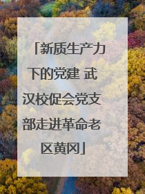 新质生产力下的党建 武汉校促会党支部走进革命老区黄冈