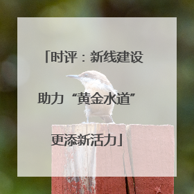 时评：新线建设助力“黄金水道”更添新活力