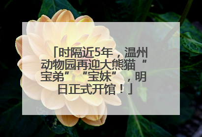 时隔近5年，温州动物园再迎大熊猫“宝弟”“宝妹”，明日正式开馆！
