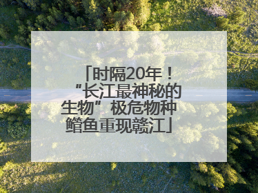 时隔20年！“长江最神秘的生物”极危物种鳤鱼重现赣江