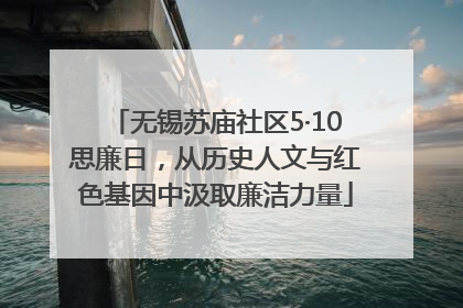 无锡苏庙社区5·10思廉日，从历史人文与红色基因中汲取廉洁力量