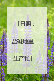 日照：盐碱地里生产忙