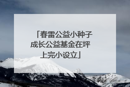 春雷公益小种子成长公益基金在坪上完小设立